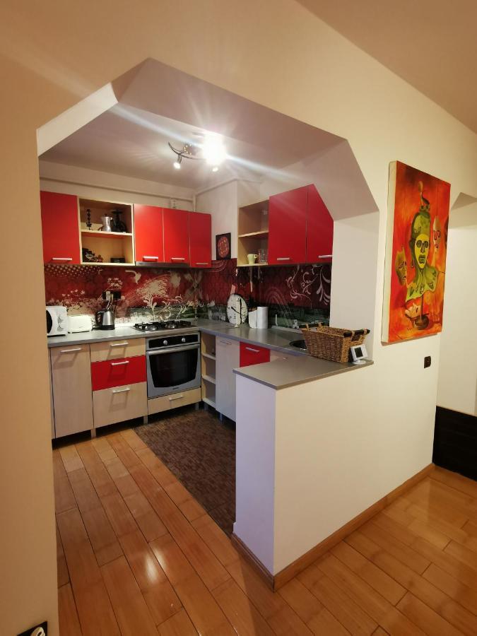 Comfy & Pleasant Apartment 10 Min Walk To Downtown Тимишоара Экстерьер фото